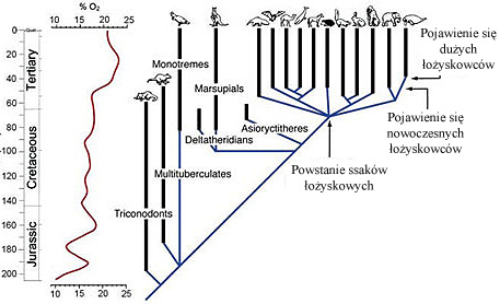  Falkowski et al., Science