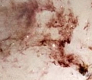 Bg Ojciec w purpurowym paszczu i tiarze na swym niebiaskim tronie, u dou jego korona. Fragment obrazu Jana van Eyka — Adoracja Baranka Mistycznego z XV w.