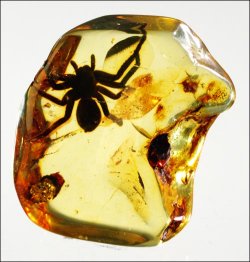 Bursztyn — jedyny kamie szlachetny pochodzenia rolinnego. W tym roku 80 tys. Chiczykw obejrzao wystaw polskiego bursztynu